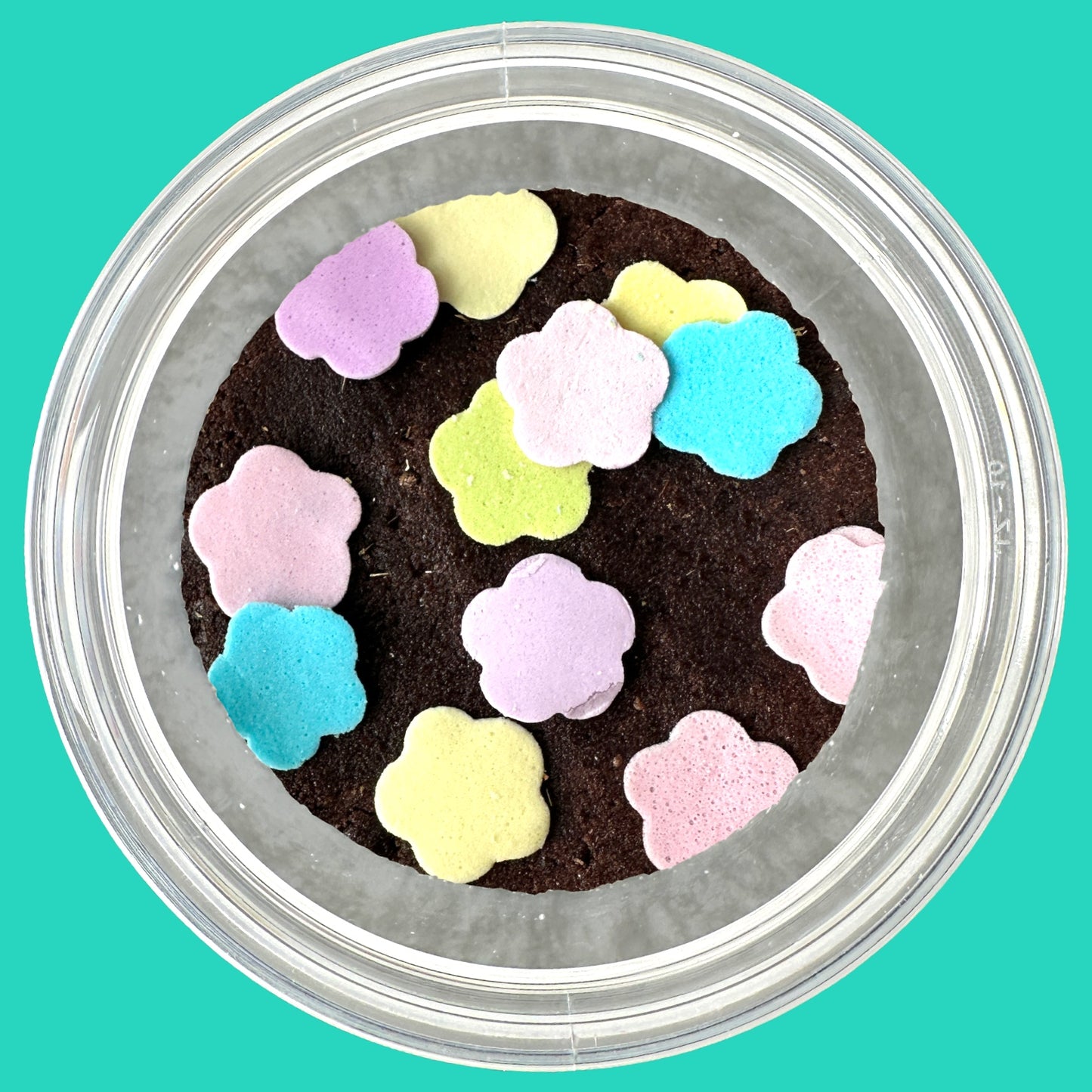 critter dirt splashy sand, 2lbs - splashy sand